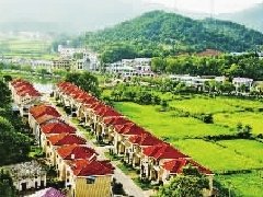 定了！今后梅州柚產業規劃 | 大埔新增7萬畝14鎮這樣發展