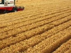 湖北提出“一芯驅(qū)動(dòng)、兩帶支撐、三區(qū)協(xié)同”的區(qū)域和產(chǎn)業(yè)規(guī)劃布局