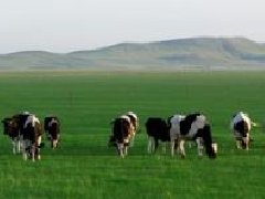 海南政府科研企業(yè)聯(lián)手，產(chǎn)業(yè)規(guī)劃目標(biāo)2035年產(chǎn)果量26億個(gè)