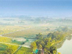 平江縣“十四五”規劃和鄉村振興戰略規劃編制工作會召開