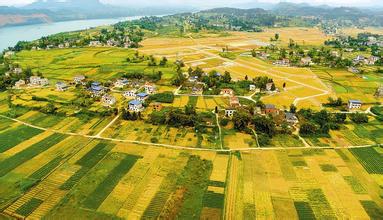 經(jīng)濟轉(zhuǎn)型，要抓縣域經(jīng)濟牛鼻子？