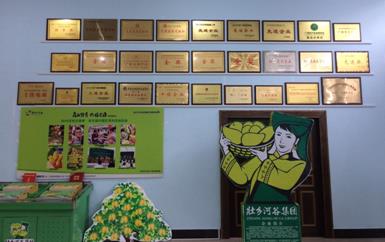 “芒果百色,香飄百地” 國內(nèi)首家芒果精深加工特色產(chǎn)業(yè)基地申報進(jìn)行時