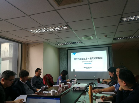 問診專家,繪制龍鄉銅梁鄉村振興新藍圖