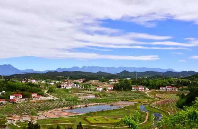 兩會最焦點丨系統(tǒng)梳理統(tǒng)籌謀局 全域推進鄉(xiāng)村振興