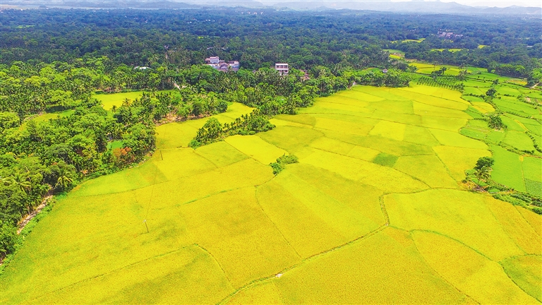 美國大農(nóng)場、以色列滴灌、德國高科技……農(nóng)業(yè)大國哪家強？