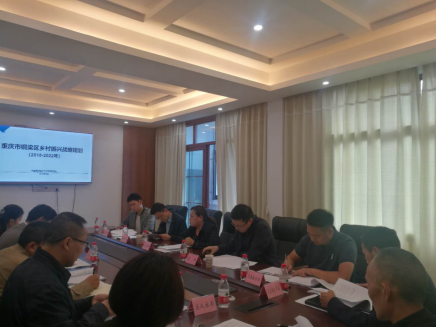 銅梁區鄉村振興戰略規劃編制工作順利進行,獲市區兩級政府高度重視