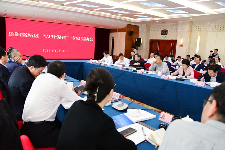 逐夢“國家隊” 岳陽臨港高新區“以升促建”終迎科技部領導和專家組正式考