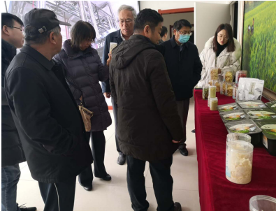 借力專家智慧，云州區(qū)蹄疾步穩(wěn)邁向國家現(xiàn)代農(nóng)業(yè)產(chǎn)業(yè)園