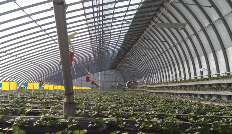 走特色高效農業之路，晉中榆次區積極申報國家現代農業產業園